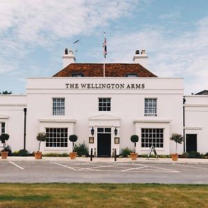 The Wellington Arms - Basingstoke-Reading
